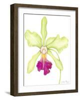 Orchid Beauty III-Jennifer Goldberger-Framed Art Print