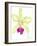 Orchid Beauty III-Jennifer Goldberger-Framed Art Print