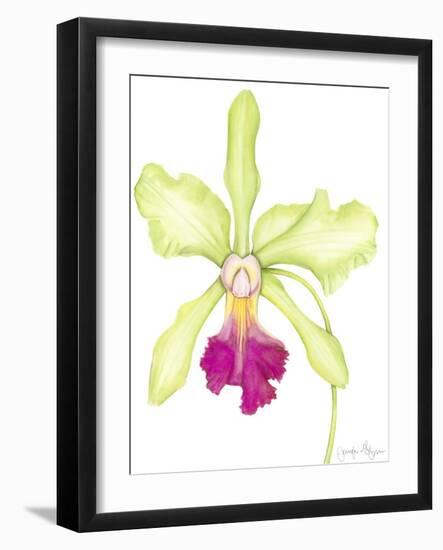 Orchid Beauty III-Jennifer Goldberger-Framed Art Print