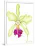 Orchid Beauty III-Jennifer Goldberger-Framed Art Print