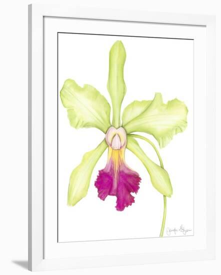 Orchid Beauty III-Jennifer Goldberger-Framed Art Print