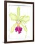 Orchid Beauty III-Jennifer Goldberger-Framed Art Print