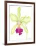 Orchid Beauty III-Jennifer Goldberger-Framed Art Print