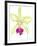 Orchid Beauty III-Jennifer Goldberger-Framed Art Print