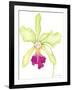 Orchid Beauty III-Jennifer Goldberger-Framed Art Print