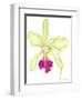 Orchid Beauty III-Jennifer Goldberger-Framed Art Print