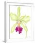 Orchid Beauty III-Jennifer Goldberger-Framed Art Print