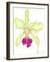 Orchid Beauty III-Jennifer Goldberger-Framed Art Print