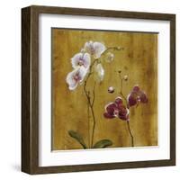 Orchid Bloom II-Georgie-Framed Giclee Print