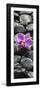 Orchid Blossom on Black Stones-Uwe Merkel-Framed Photographic Print