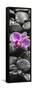 Orchid Blossom on Black Stones-Uwe Merkel-Framed Stretched Canvas