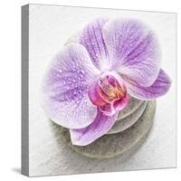 Orchid Blossom on Tower Made of Stones-Uwe Merkel-Stretched Canvas