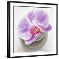 Orchid Blossom on Tower Made of Stones-Uwe Merkel-Framed Photographic Print