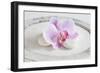 Orchid Blossom on White Sand-Uwe Merkel-Framed Photographic Print