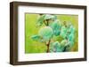 Orchid Blossoms, Flower Photograph-Alaya Gadeh-Framed Photographic Print