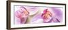 Orchid Blossoms on White Sand-Uwe Merkel-Framed Photographic Print