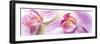 Orchid Blossoms on White Sand-Uwe Merkel-Framed Photographic Print