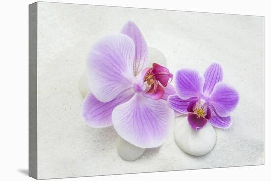 Orchid Blossoms on White Sand-Uwe Merkel-Stretched Canvas