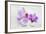 Orchid Blossoms on White Sand-Uwe Merkel-Framed Photographic Print