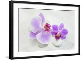 Orchid Blossoms on White Sand-Uwe Merkel-Framed Photographic Print