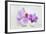 Orchid Blossoms on White Sand-Uwe Merkel-Framed Photographic Print