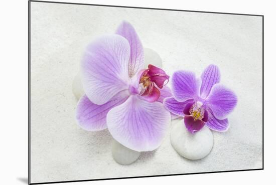 Orchid Blossoms on White Sand-Uwe Merkel-Mounted Photographic Print