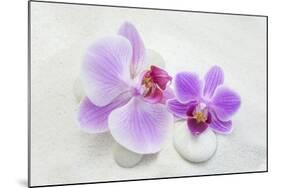 Orchid Blossoms on White Sand-Uwe Merkel-Mounted Photographic Print