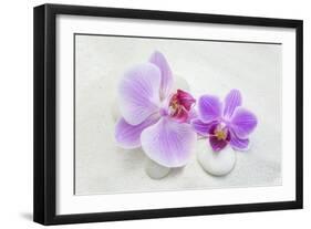 Orchid Blossoms on White Sand-Uwe Merkel-Framed Photographic Print