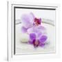 Orchid Blossoms on White Sand-Uwe Merkel-Framed Photographic Print