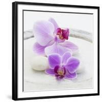 Orchid Blossoms on White Sand-Uwe Merkel-Framed Photographic Print