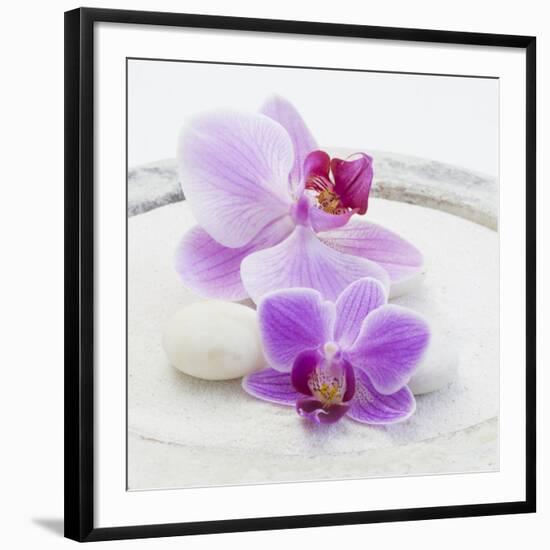 Orchid Blossoms on White Sand-Uwe Merkel-Framed Photographic Print