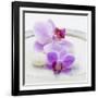 Orchid Blossoms on White Sand-Uwe Merkel-Framed Photographic Print