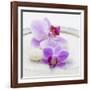 Orchid Blossoms on White Sand-Uwe Merkel-Framed Photographic Print