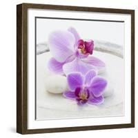 Orchid Blossoms on White Sand-Uwe Merkel-Framed Photographic Print