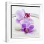 Orchid Blossoms on White Sand-Uwe Merkel-Framed Photographic Print