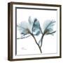 Orchid Blue-Albert Koetsier-Framed Art Print