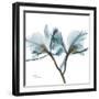 Orchid Blue-Albert Koetsier-Framed Art Print