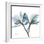 Orchid Blue-Albert Koetsier-Framed Art Print