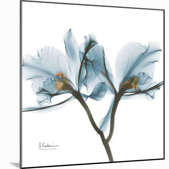 Orchid Blue-Albert Koetsier-Mounted Art Print