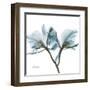 Orchid Blue-Albert Koetsier-Framed Art Print