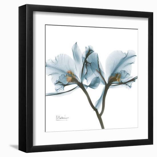 Orchid Blue-Albert Koetsier-Framed Art Print