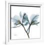 Orchid Blue-Albert Koetsier-Framed Art Print