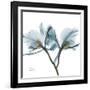 Orchid Blue-Albert Koetsier-Framed Art Print