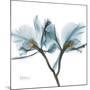 Orchid Blue-Albert Koetsier-Mounted Art Print