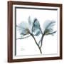 Orchid Blue-Albert Koetsier-Framed Art Print