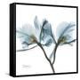 Orchid Blue-Albert Koetsier-Framed Stretched Canvas