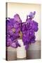 Orchid Bouquet-Karyn Millet-Stretched Canvas