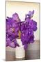 Orchid Bouquet-Karyn Millet-Mounted Photographic Print