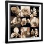 Orchid Bouquet-Caroline Kelly-Framed Photo