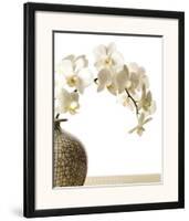 Orchid Branch-Stephane De Bourgies-Framed Art Print